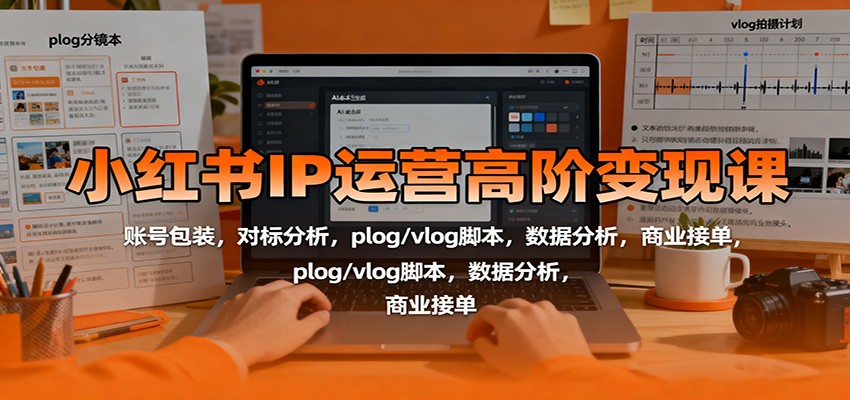 小红书IP运营高阶变现课：账号包装，对标分析，plog/vlog脚本，数据分析，商业接单-聚宝盆